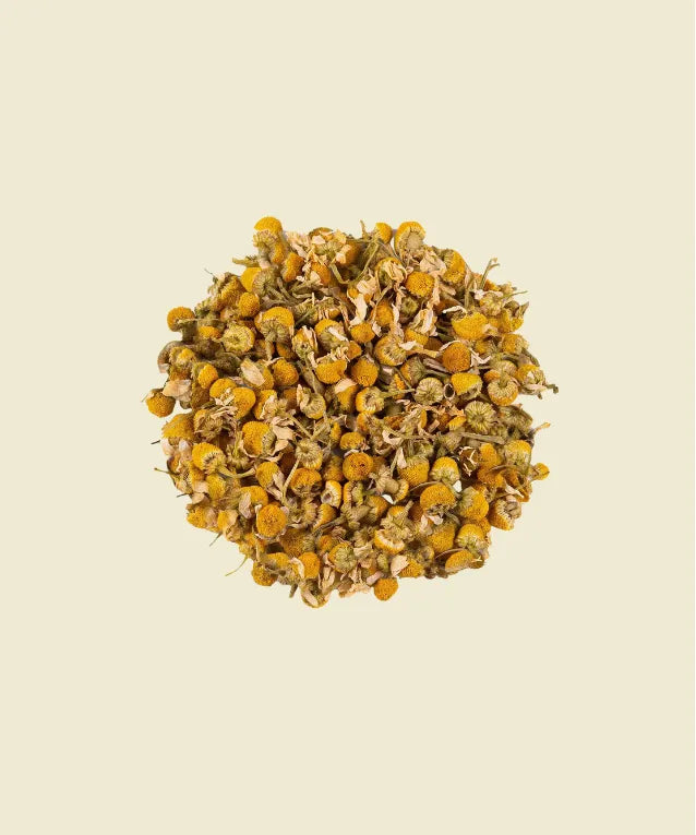 Manzanilla - infusión de manzanilla