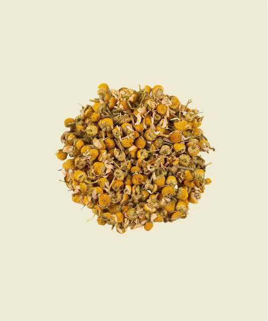Manzanilla - infusión de manzanilla
