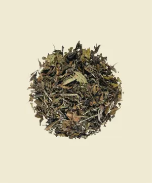 Pai Mu Tan China - té blanco de origen