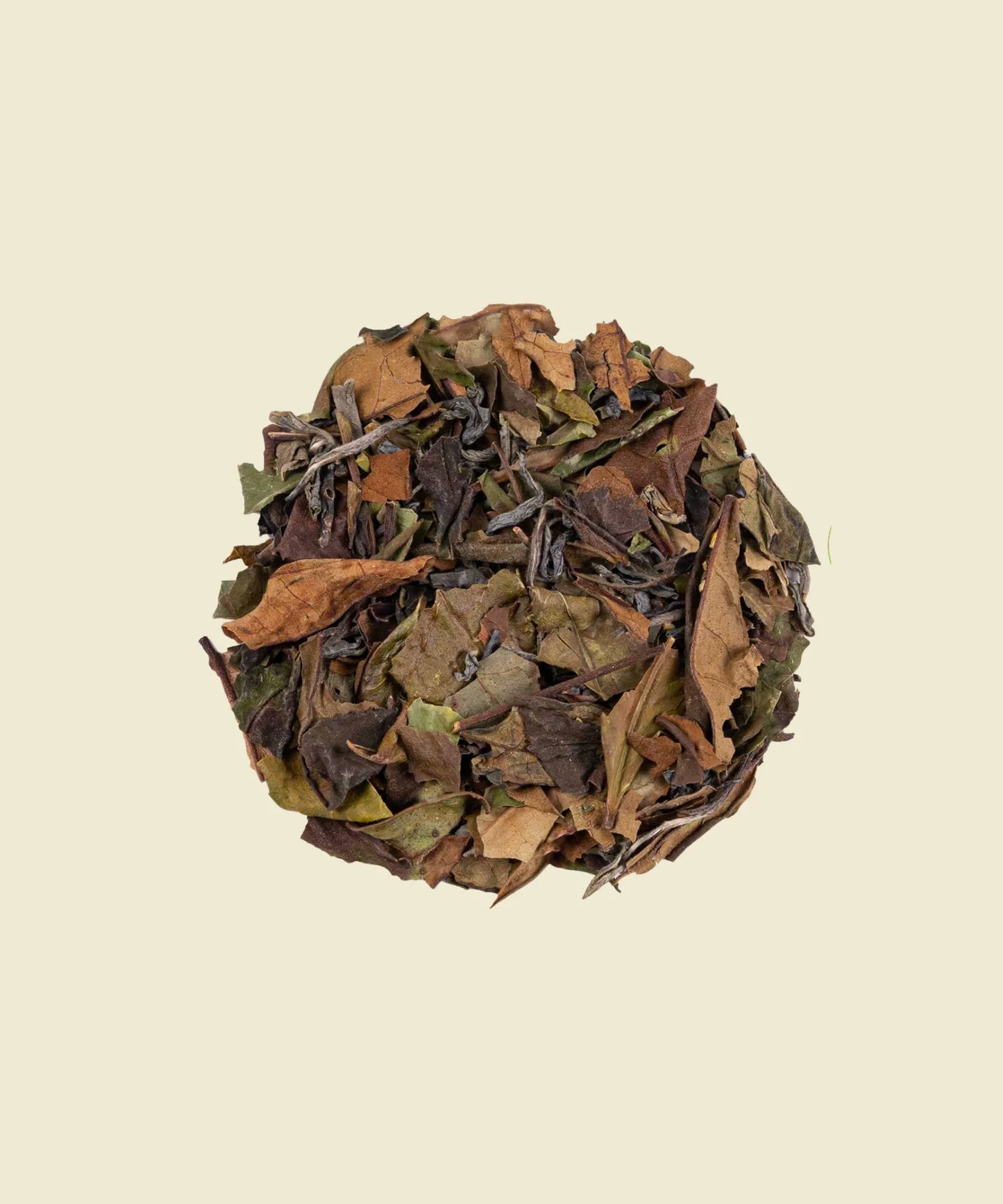 Sauco Menta - té verde con saúco y menta