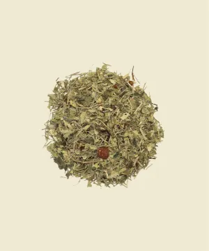 Sauco menta - té verde con saúco y menta