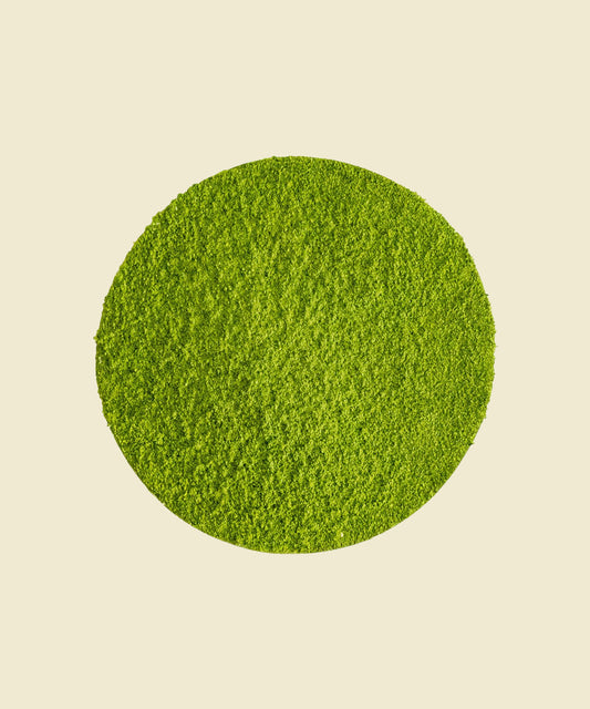 Té Matcha Ceremonial Hisui