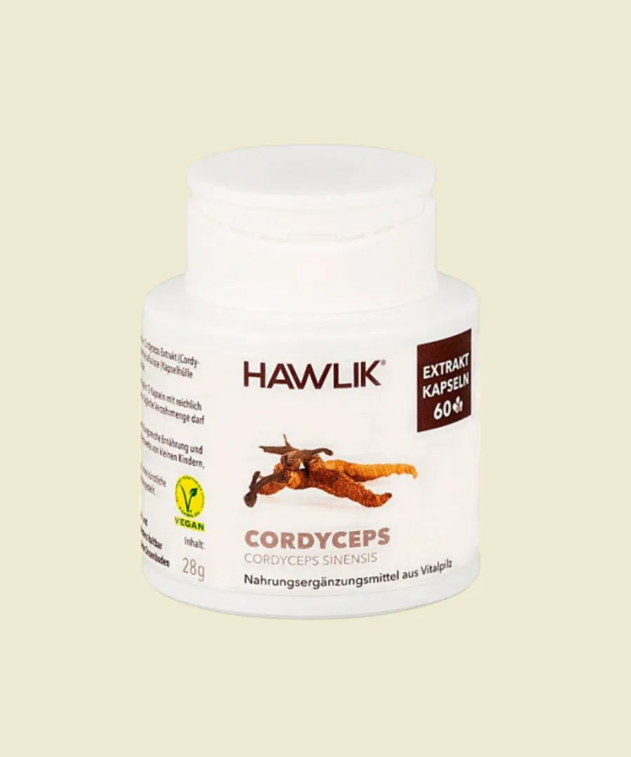 Cordyceps | 60 cápsulas – Hawlik