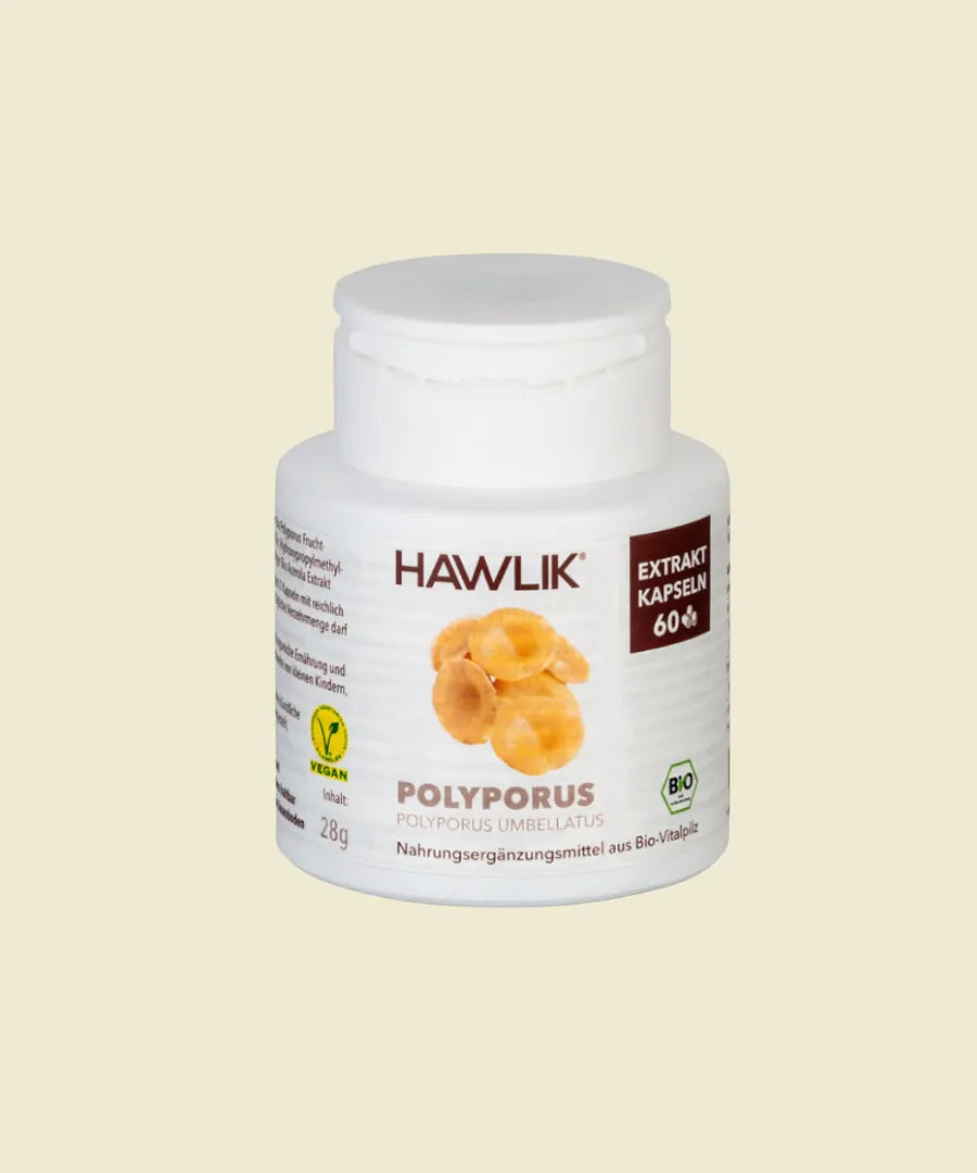 Polyporus | 60 cápsulas – Hawlik