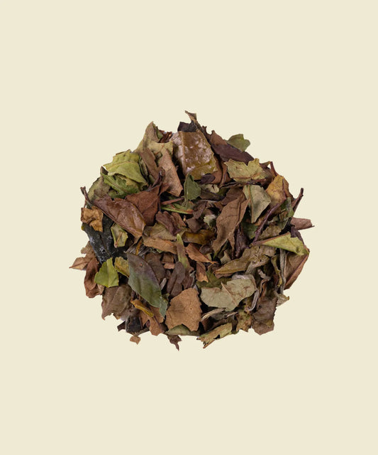 Pai Mu Tan China - té blanco de origen