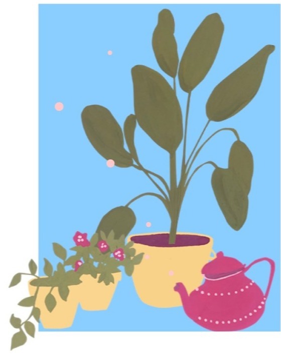 Imagen de una planta de té en un jardín doméstico