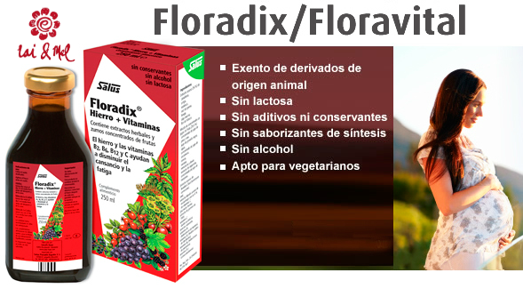 Floradix Jarabe 500ml - Salus